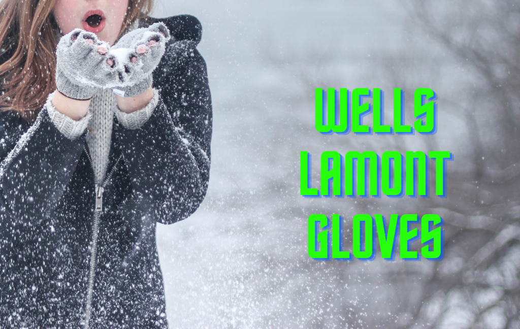 wells lamont gloves