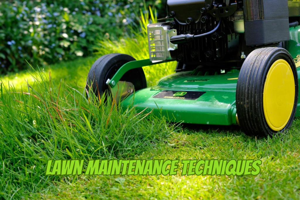 Lawn Maintenance Techniques